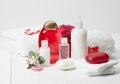 Shampoo, Soap Bar And Liquid. Toiletries, Spa Kit Royalty Free Stock Photo