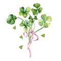 Shamrock and clover bunch with ribbon watercolor illustration isolated on white. Hand painted green four leaves. Hand