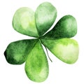 Shamrock clover isolated watercolor element