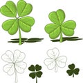 Shamrock designs, vector illustrations