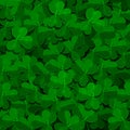 Shamrock field background with dew drops.