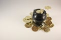 Shamrock Gold Coins in a Pot
