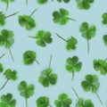 Shamrock Seamless Pattern Isolated on White Background. St. Patrick`s Day Design for Background, Print, and Textile.