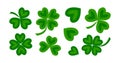 Shamrock green vector icon, clover four leaf for Patrick day, ireland plant, lucky symbol. Celtic spring illustration Royalty Free Stock Photo