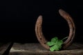 Shamrock and Horseshoe Royalty Free Stock Photo