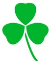 Shamrock icon. Green irish clover leaf. Traditional Saint Patrick symbol