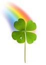 Shamrock and rainbow