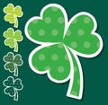 St. Patrick`s Day Shamrocks