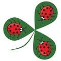 Shamrock whit three ladybugs. Three little red beetles sitting on a green clover leaf. Beautiful cheerful illustration Royalty Free Stock Photo