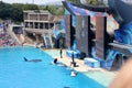 Shamu Show, SeaWorld, San diego, California Royalty Free Stock Photo