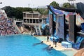 Shamu Show, SeaWorld, San diego, California Royalty Free Stock Photo