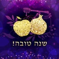 Shanatova glittering