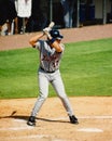 Shane Halter, Detroit Tigers