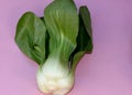 Shanghai Bok Choy, Brassica rapa subsp chinensis