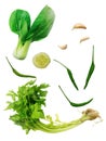 Shanghai Bok Choy, Chinese celery, garlic, cucumber, Chili, celery isolate on white background. Cooking