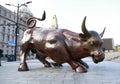 Shanghai Bund Cattle