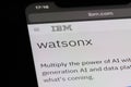 IBM Watsonx AI brand logo on official website