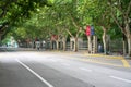 The former French concession with Platanus trees near Huaihai Road in the morning in Shanghai,