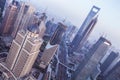 Shanghai cityscape Royalty Free Stock Photo