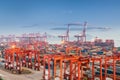 Shanghai container port in sunset Royalty Free Stock Photo