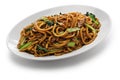 Shanghai fried noodle, Shanghai chow mein Royalty Free Stock Photo