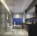 Shanghai high-grade apartment's concise style of domestic toilet