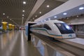 Shanghai Maglev Train - Shanghai Transrapid Royalty Free Stock Photo