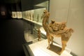 Shanghai museum display with camel and dim room