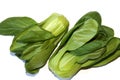 Shanghai pak choi is smaller than the ordinary pak choi