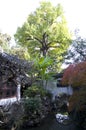 Shanghai Chenghuangmiao old city temple yuyuan garden Royalty Free Stock Photo