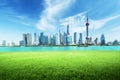 Shanghai skyline and green grass in park