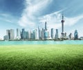 Shanghai skyline and green grass in park