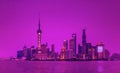 Shanghai Skyline Royalty Free Stock Photo