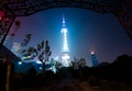 Shanghi skyline at night Royalty Free Stock Photo