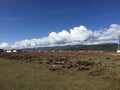 Shangri-La beautiful grassland sky mountain