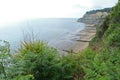Shanklin Beach south of the Chine. Royalty Free Stock Photo