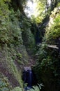 Shanklin Chine, Isle of Wight Royalty Free Stock Photo