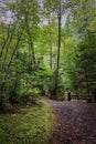 Shannon Falls Provincial Park, Sea to Sky Highway, Canada Royalty Free Stock Photo