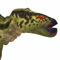 Shantungosaurus Dinosaur Head