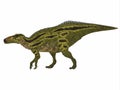 Shantungosaurus Dinosaur Side Profile