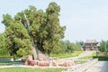 Emperor Shun Tomb Soenic Spot. a famous historic site in Yuncheng, Shanxi, China.