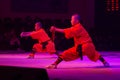 Shaolin Kung Fu Demonstration by young apprentices at the Shaolin Temple Royalty Free Stock Photo
