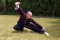 Shaolin Kung Fu Stance Royalty Free Stock Photo