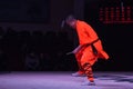 Shaolin Kung Fu Demonstration by young apprentices at the Shaolin Temple Royalty Free Stock Photo