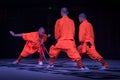 Shaolin Kung Fu Demonstration by young apprentices at the Shaolin Temple Royalty Free Stock Photo