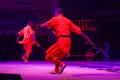 Shaolin Kung Fu Demonstration by young apprentices at the Shaolin Temple Royalty Free Stock Photo