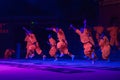 Shaolin Kung Fu Demonstration by young apprentices at the Shaolin Temple Royalty Free Stock Photo