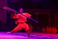 Shaolin Kung Fu Demonstration by young apprentices at the Shaolin Temple Royalty Free Stock Photo