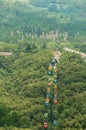 Shaolin Monastery Forest of Pagoda