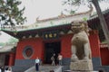 The shaolin temple